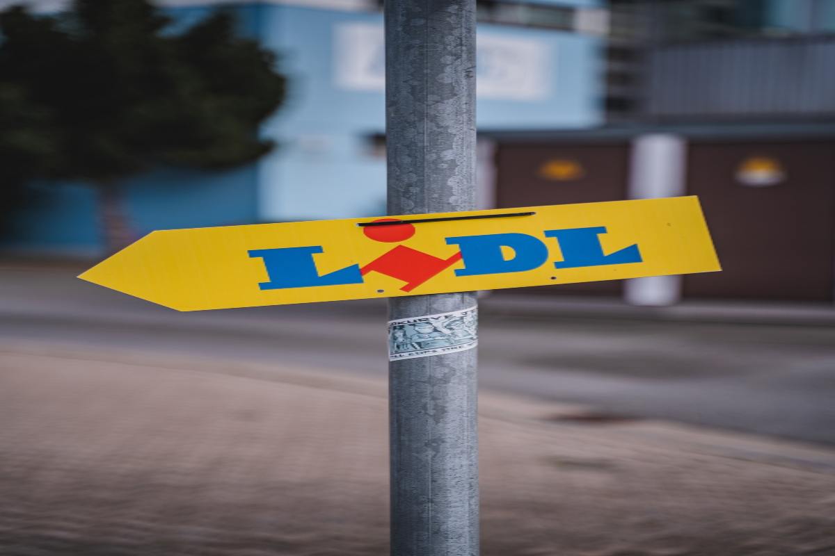 Offerte Lidl e di altri per il fai da te