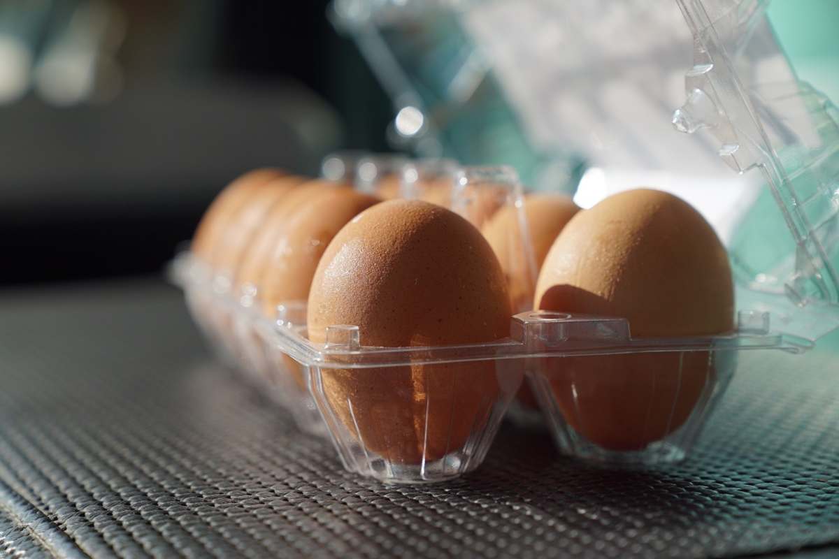 Sai cosa significa il primo numero stampato sul guscio dell’uovo?