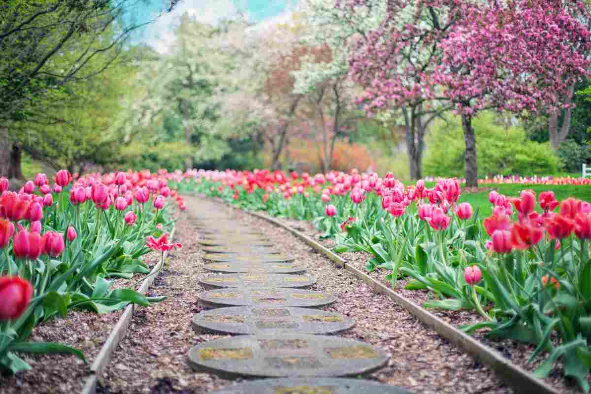 Un giardino che sembra uscito dalle fiabe