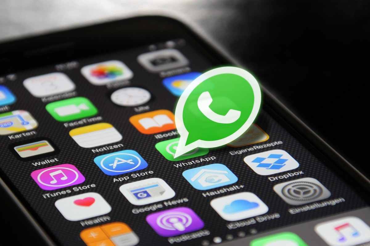 WhatsApp o WhatsApp Business