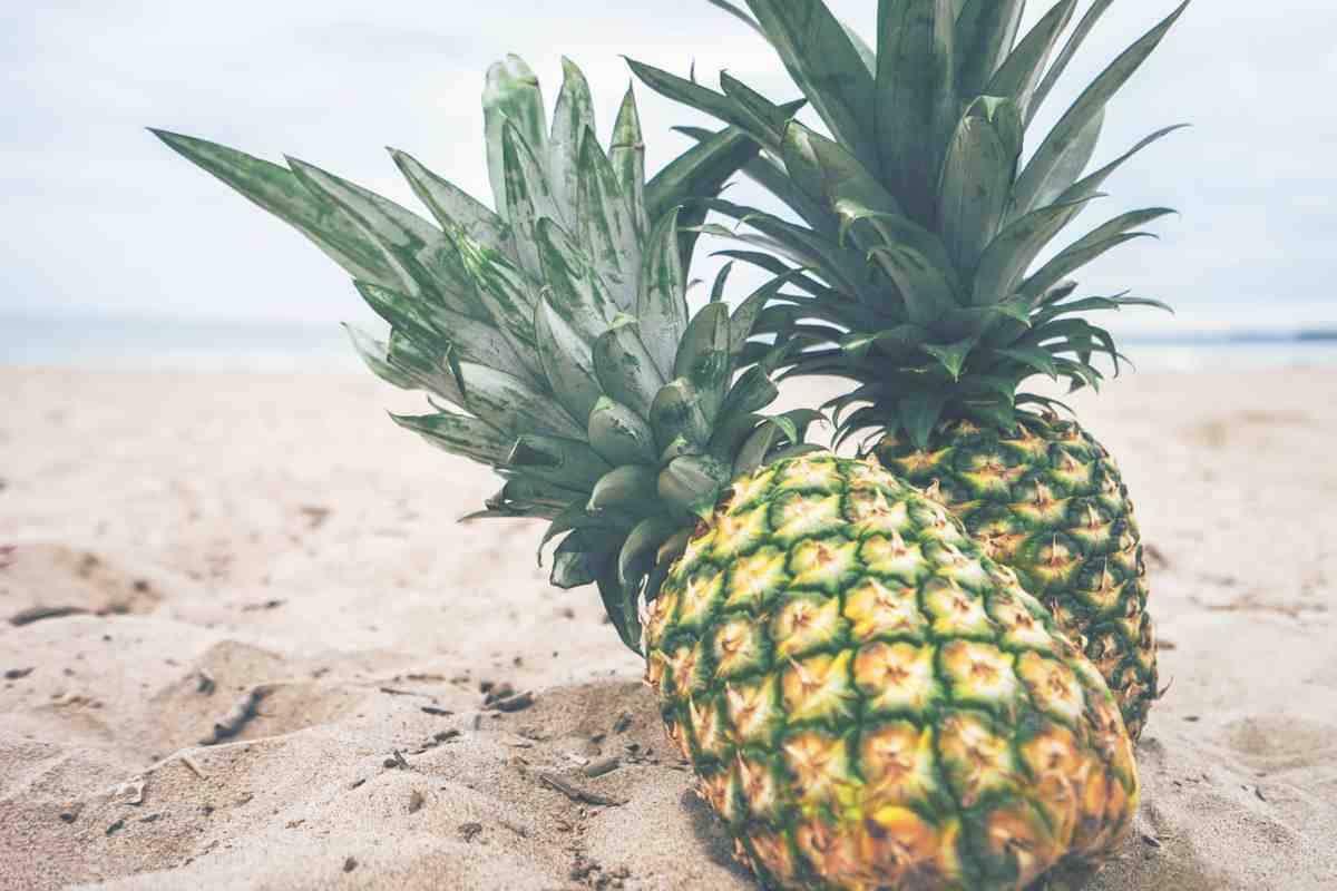 Perché ci sono gli ananas scolpiti in pietra