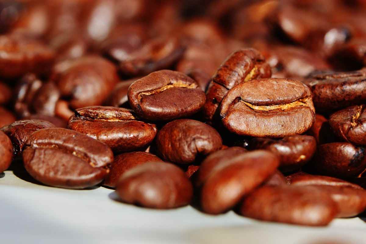 È uno dei caffè più costosi al Mondo