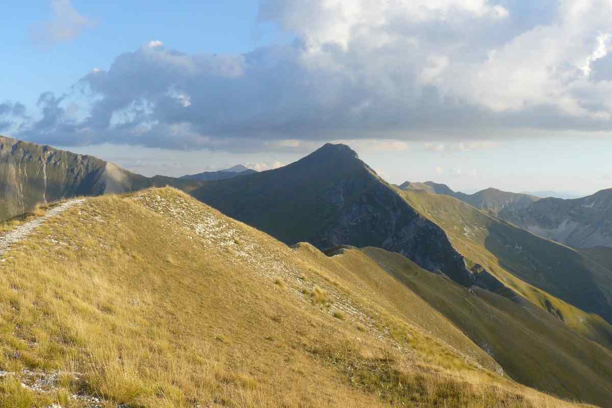 Il piccolo angolo di paradiso