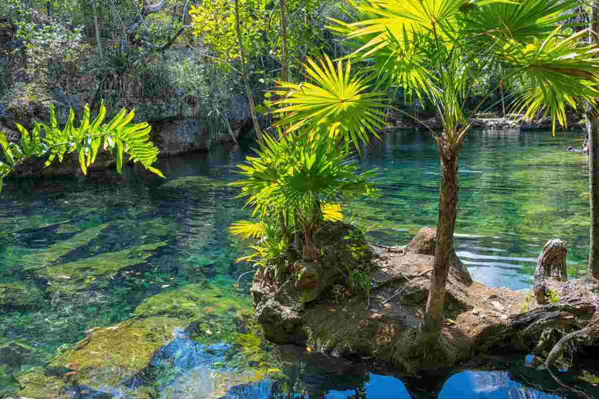 Un fiume unico nel suo genere